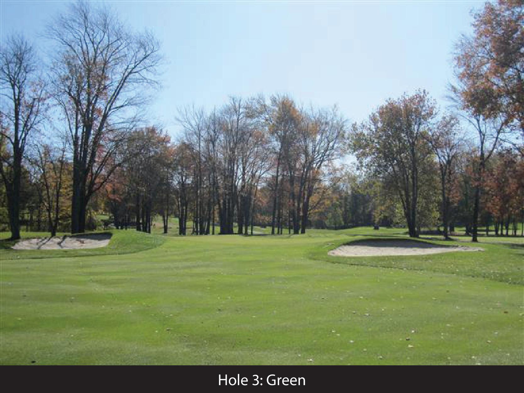 hole 3 green