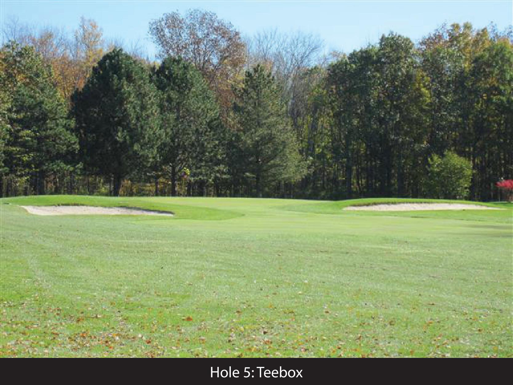 hole 5 teeebox