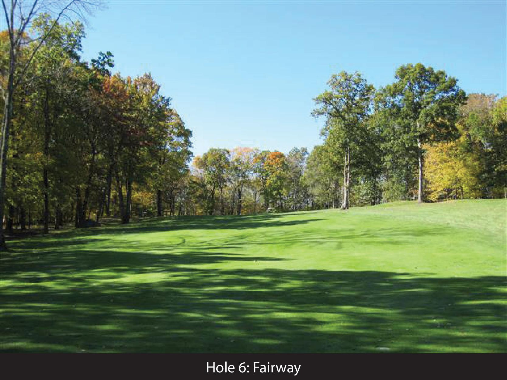 hole 6 fairway