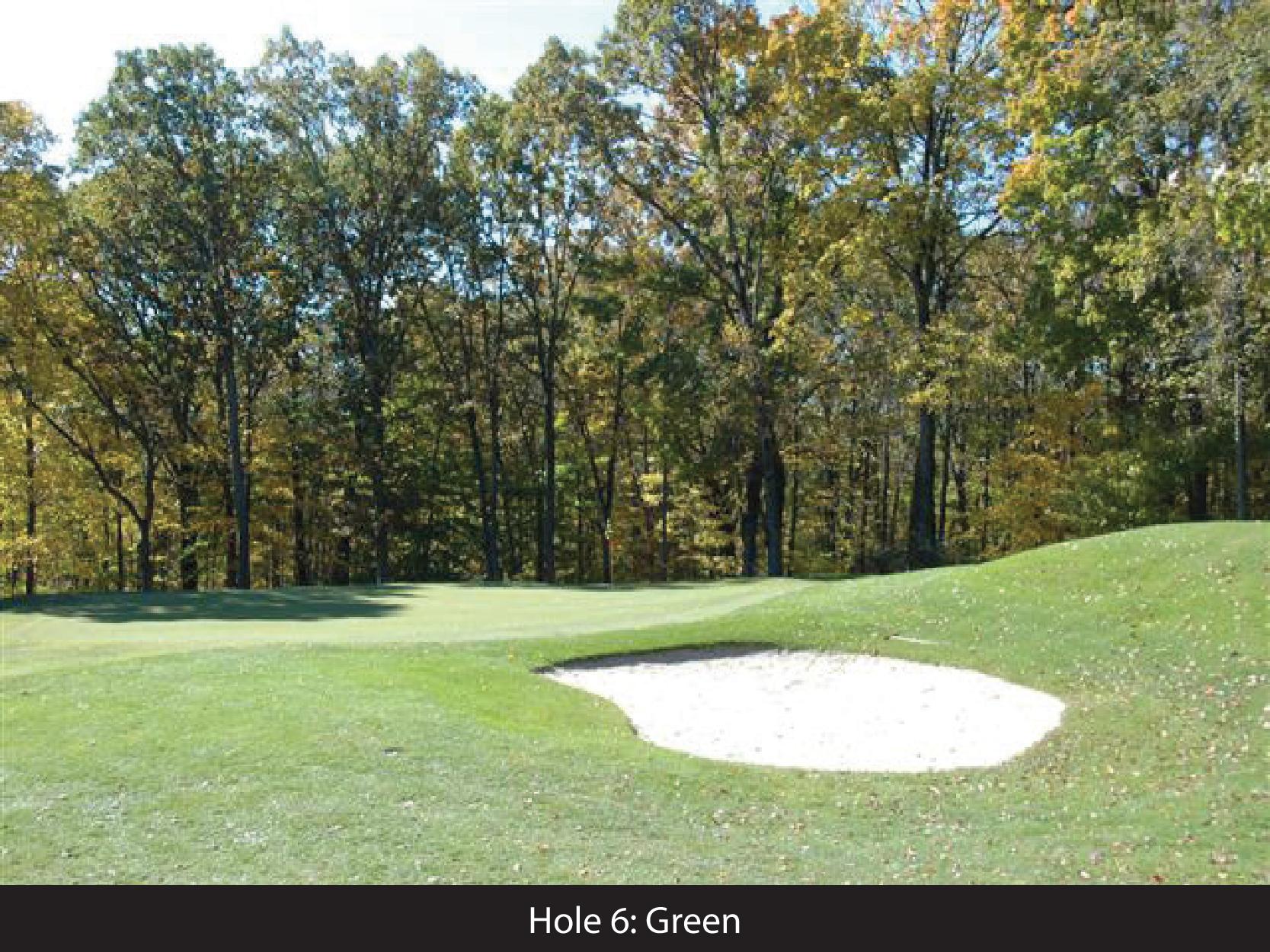 hole 6 green