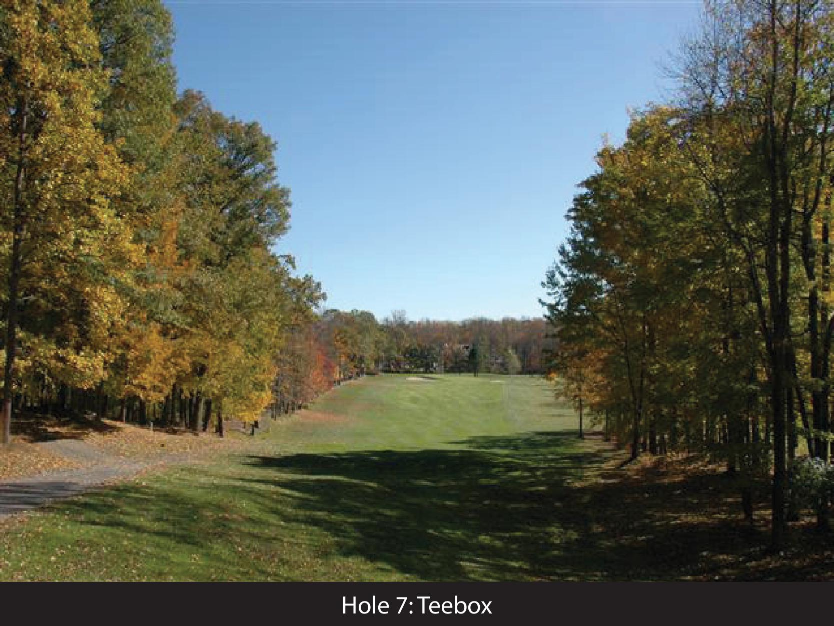 hole 7 teebox