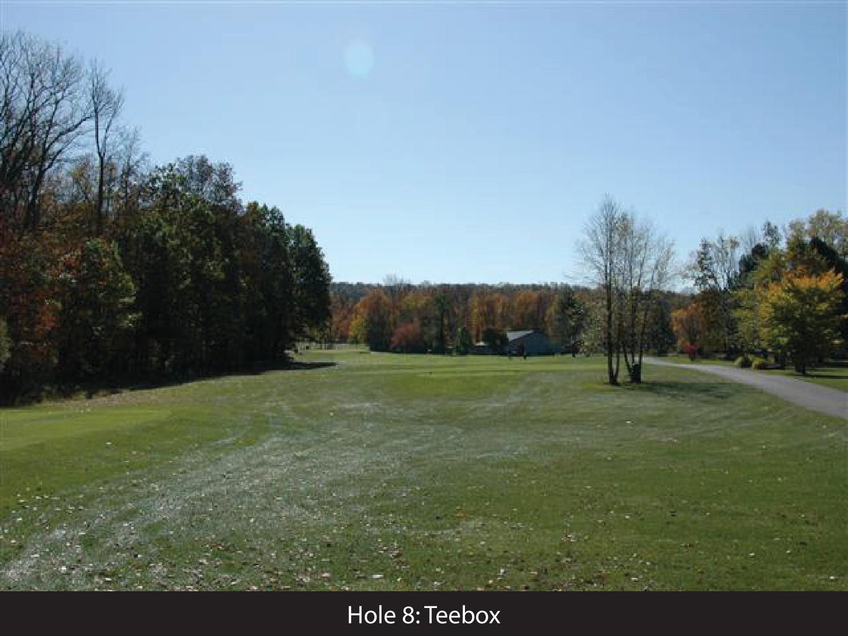 hole 8 teebox