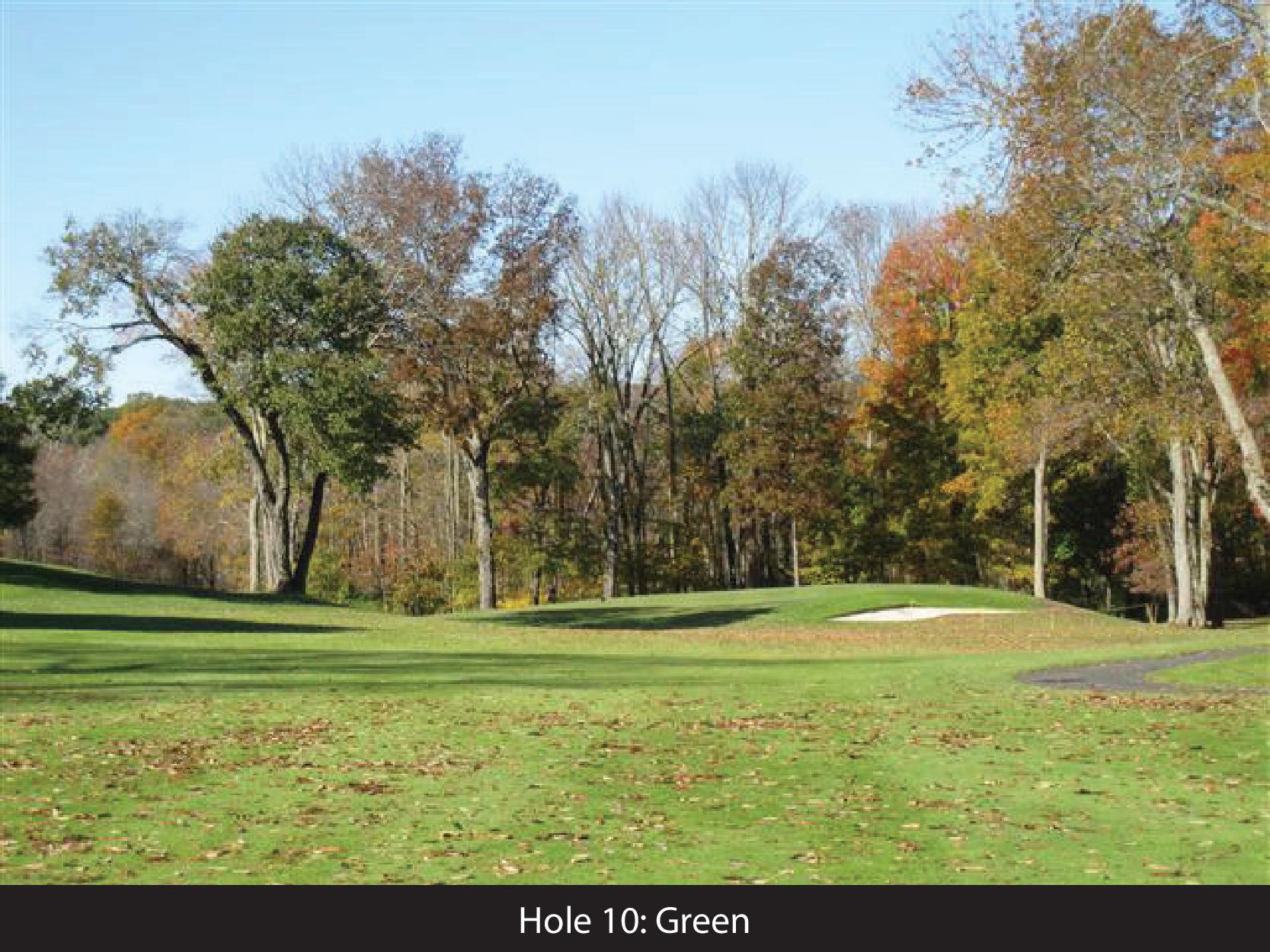 hole 10 green