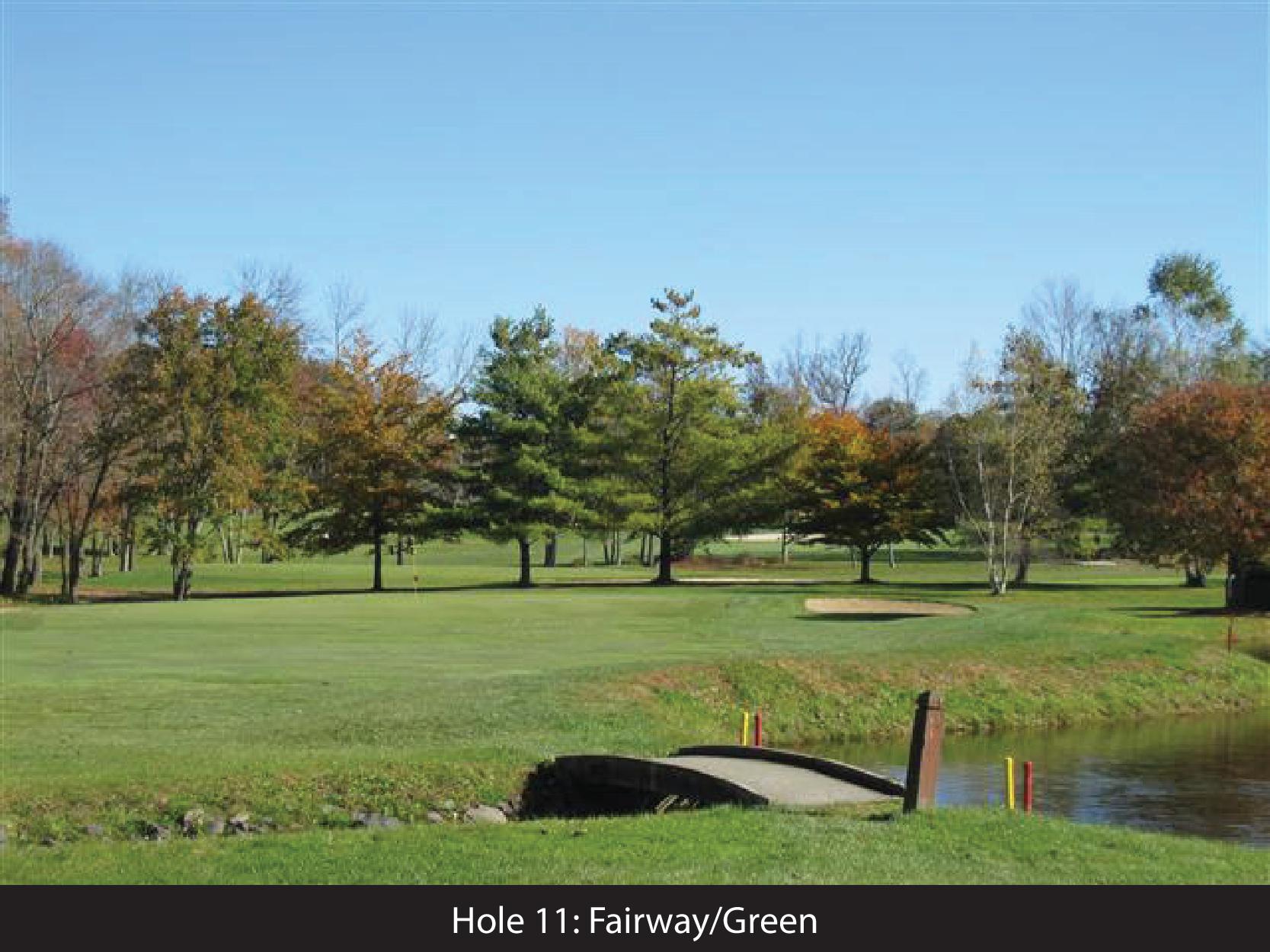 hole 11 fairway/green