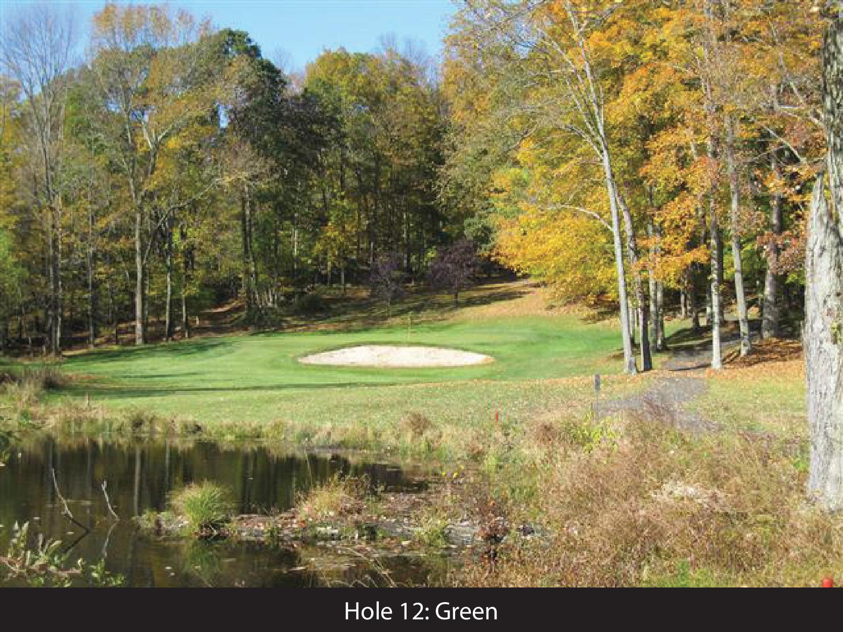 hole 12 green