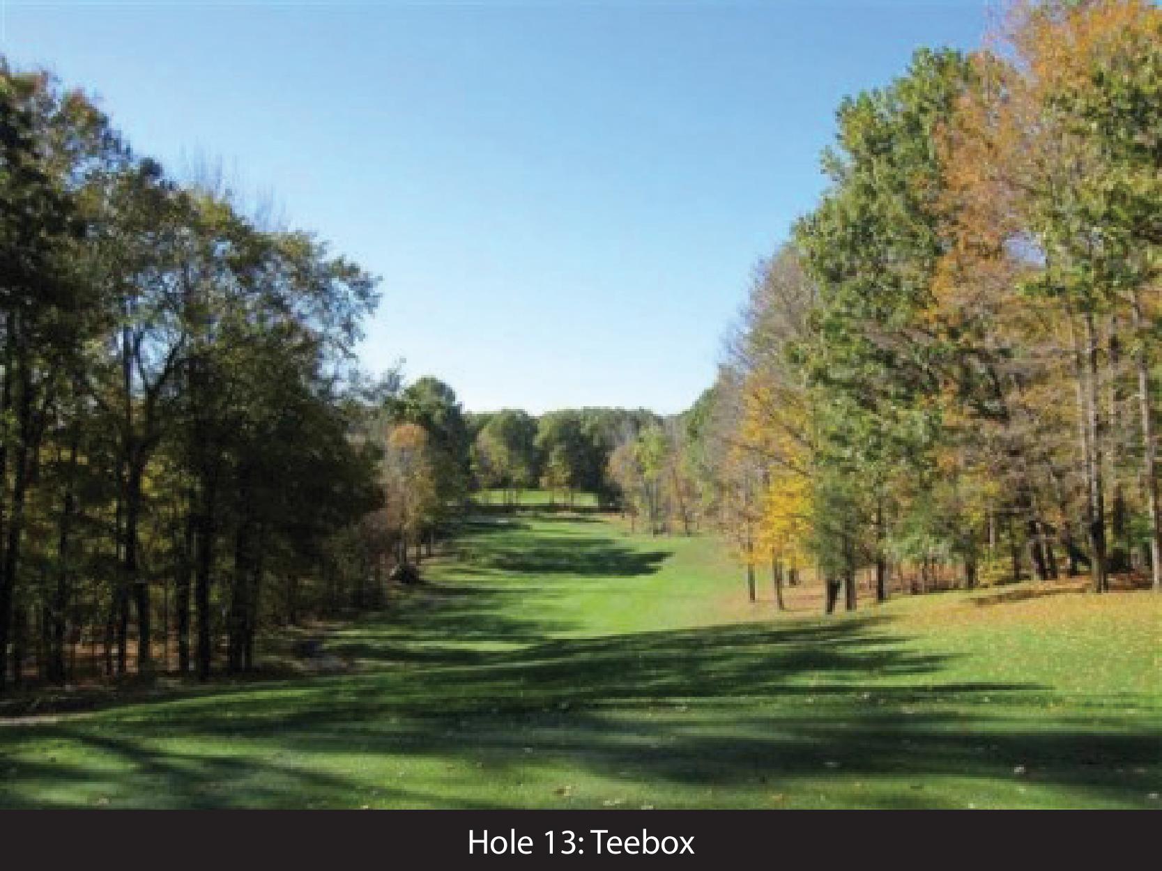 hole 13 teebox