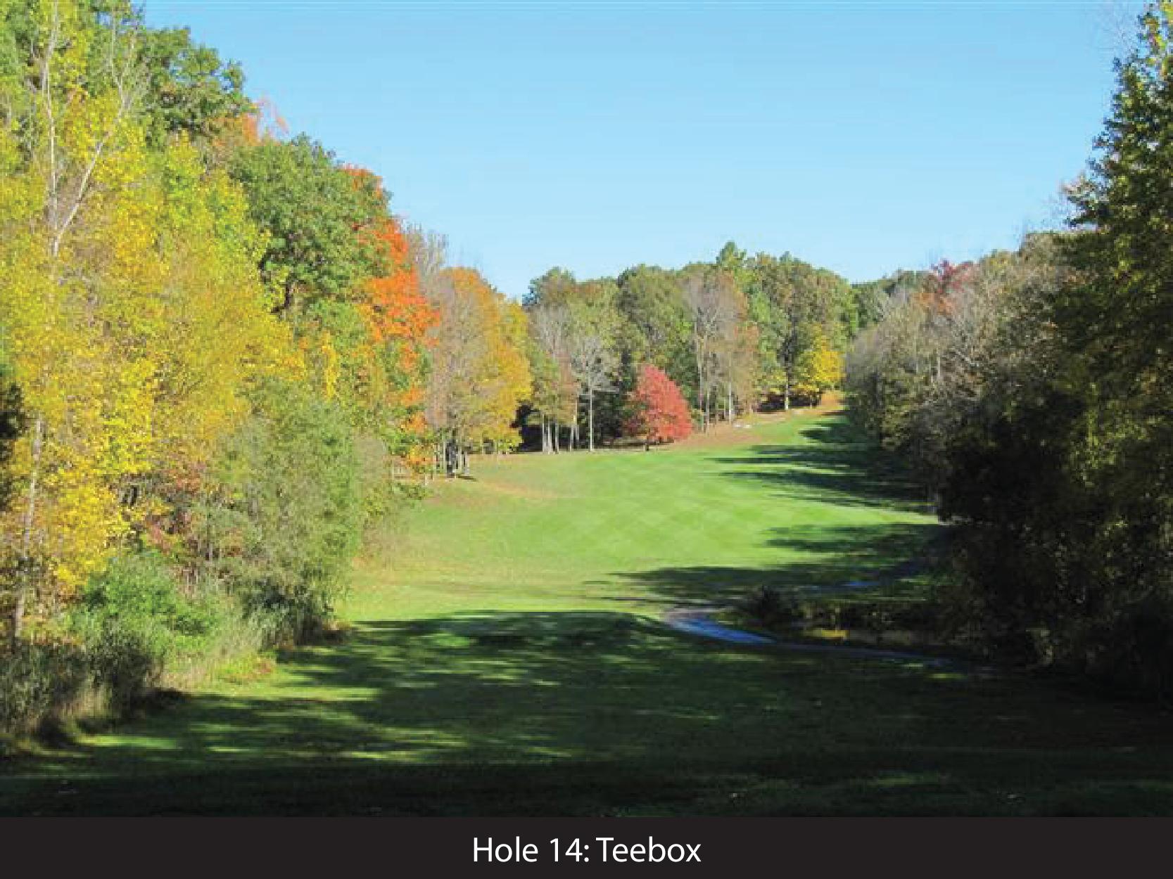 hole 14 teebox