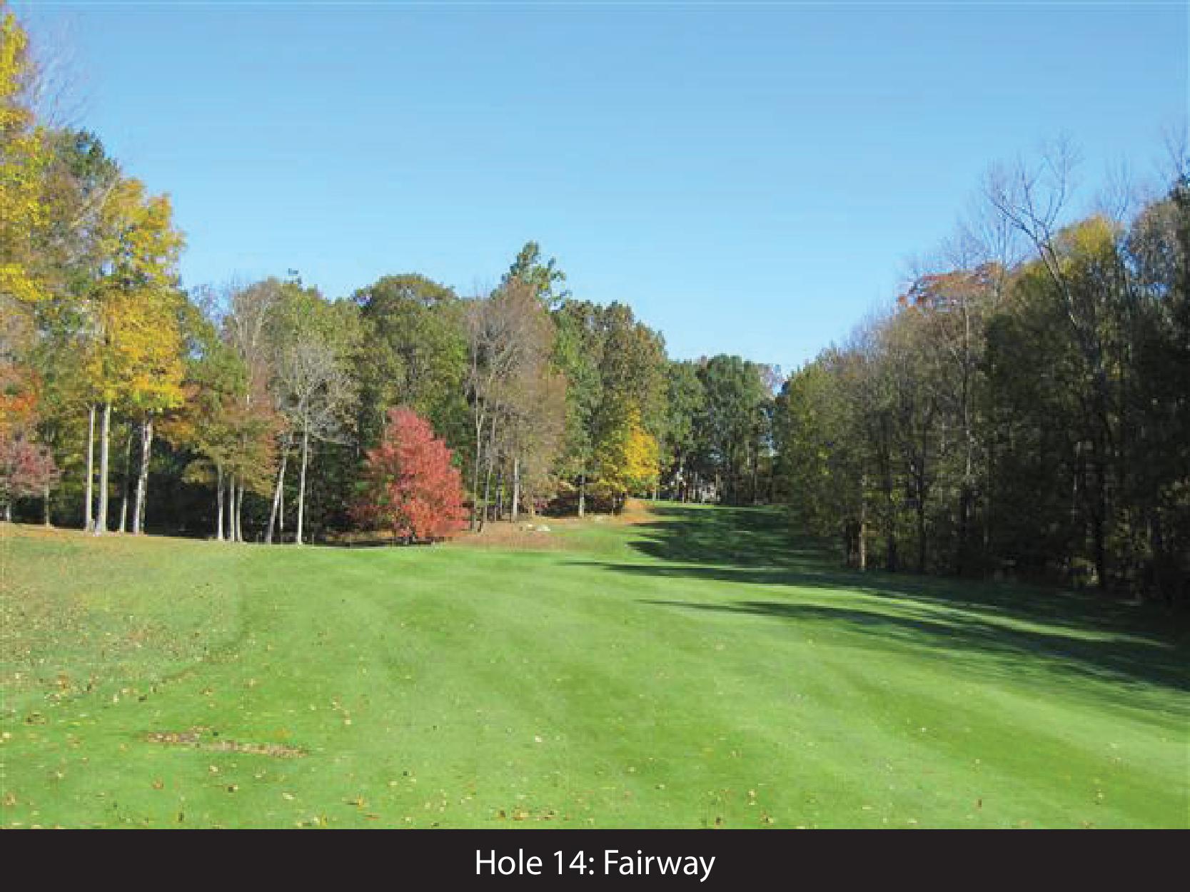 hole 14 fairway