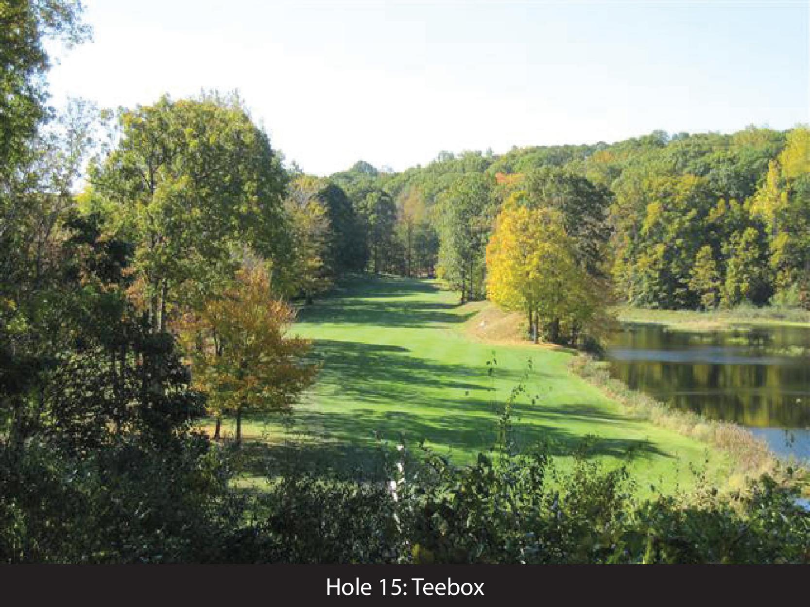 hole 15 teebox