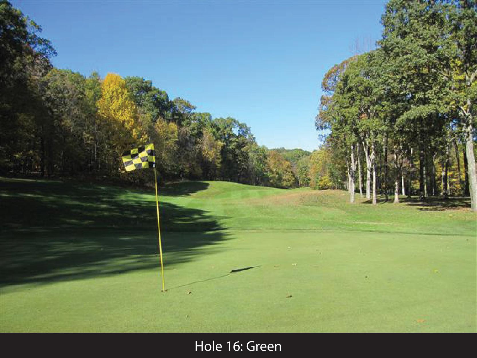 hole 16 green