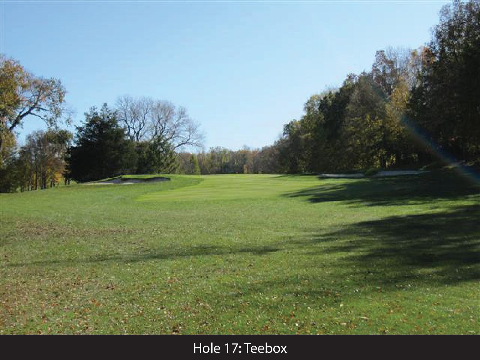 hole 17 teebox